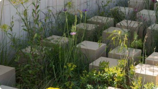 Groene planten in een serre